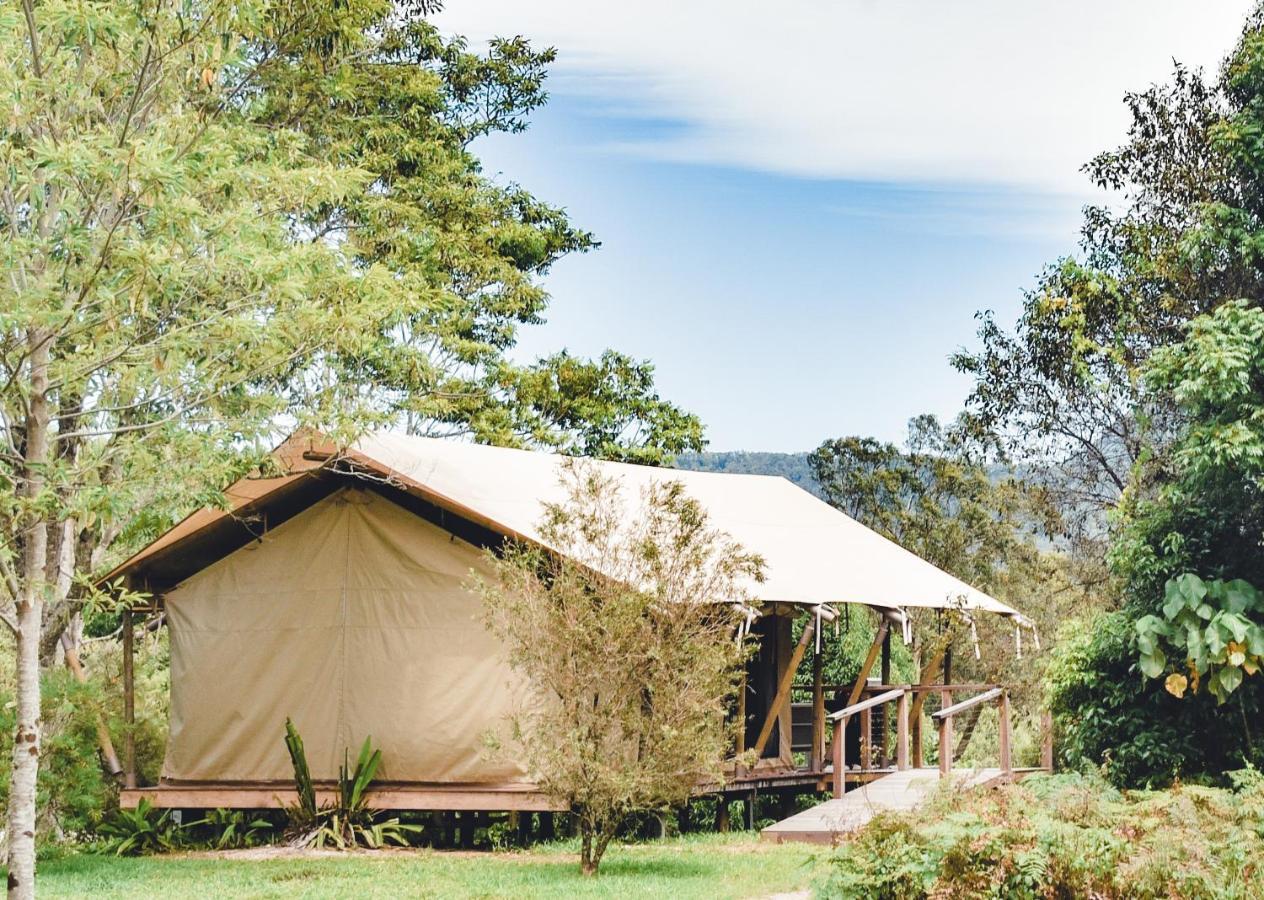 Silk Pavilions Glamping Mount Burrell Zewnętrze zdjęcie