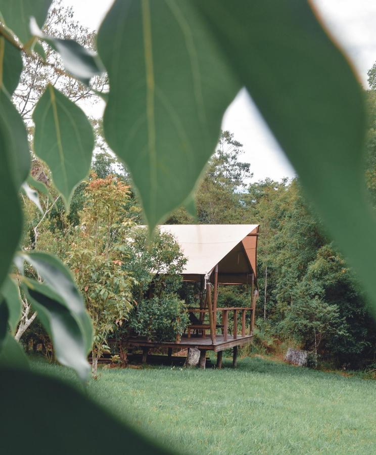 Silk Pavilions Glamping Mount Burrell Zewnętrze zdjęcie