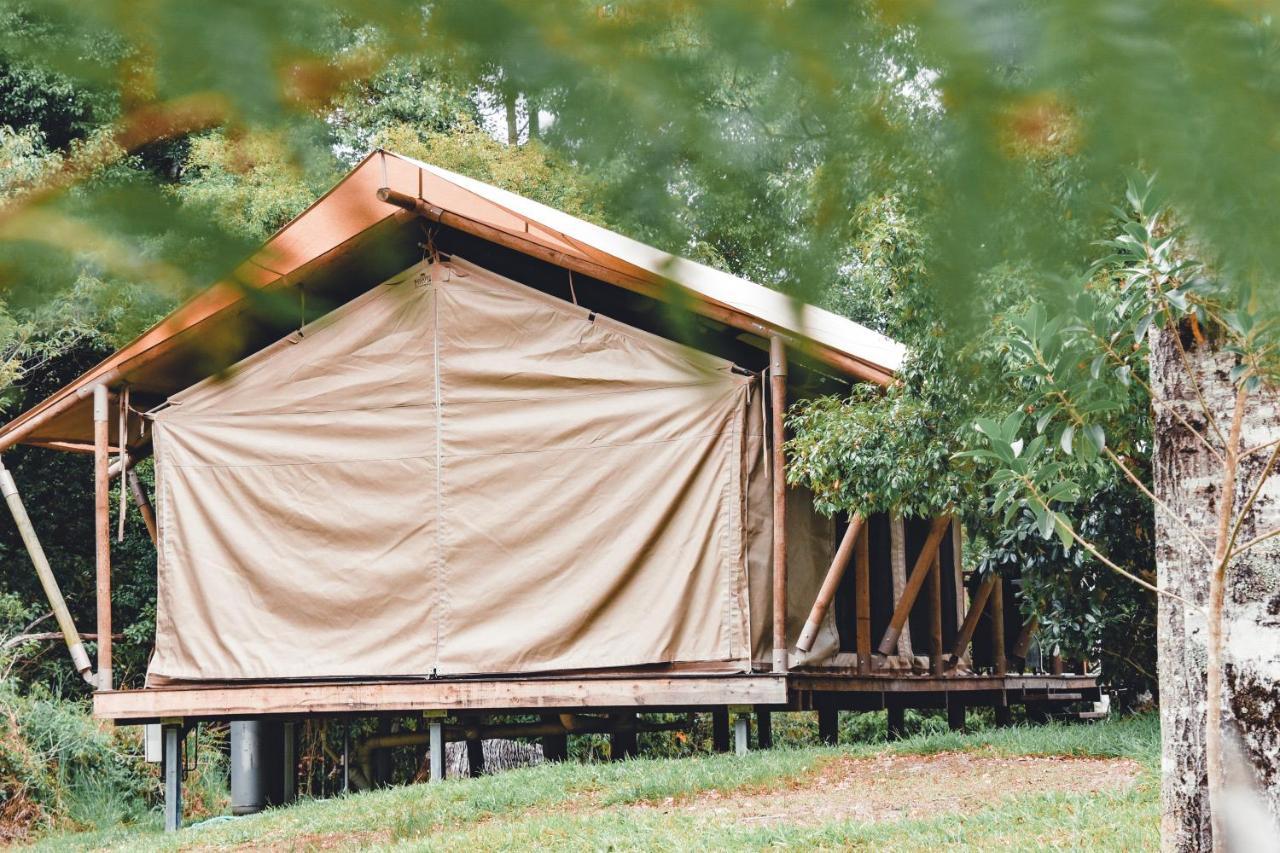 Silk Pavilions Glamping Mount Burrell Zewnętrze zdjęcie