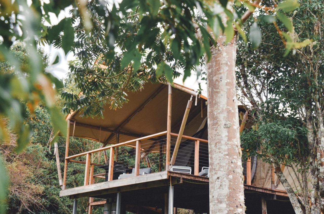 Silk Pavilions Glamping Mount Burrell Zewnętrze zdjęcie
